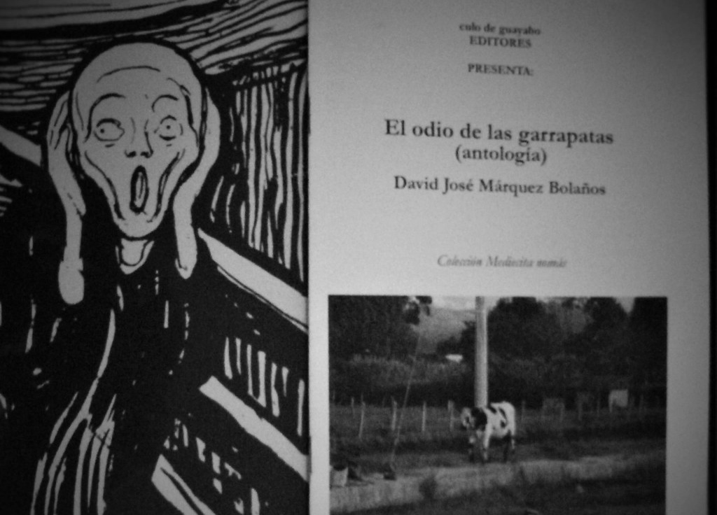 david