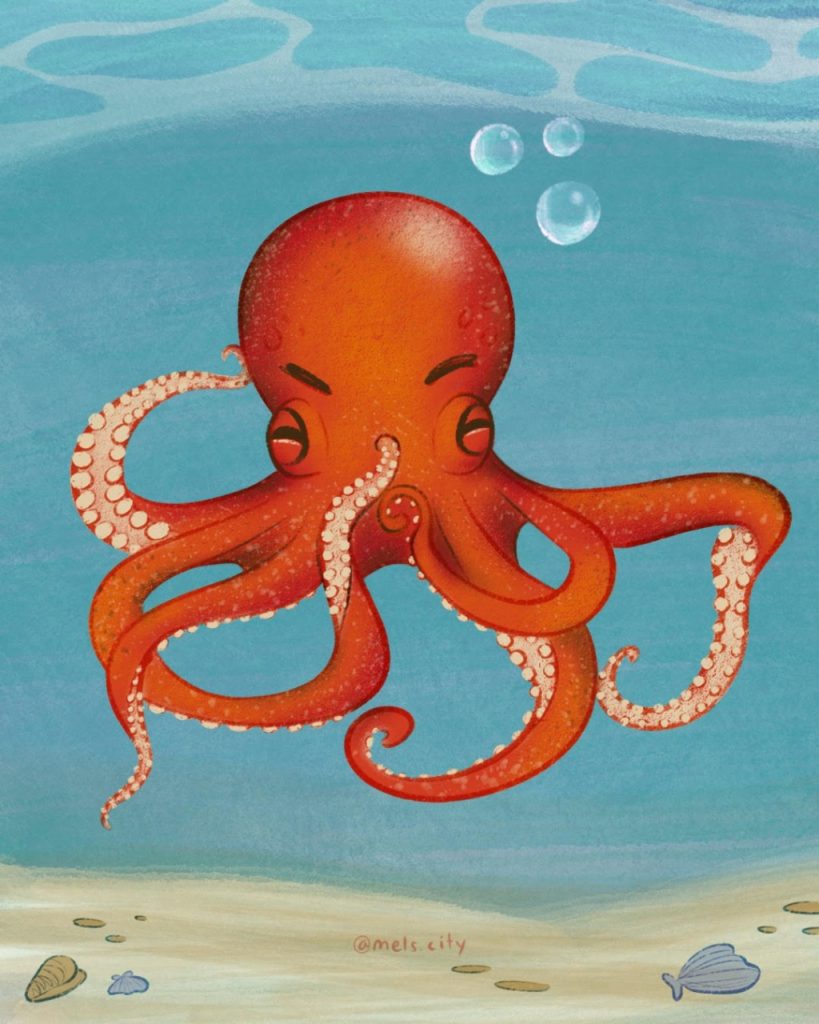  Octopus maya es nombrado también como “pulpo de cuatro ojos”, “pulpo maya”